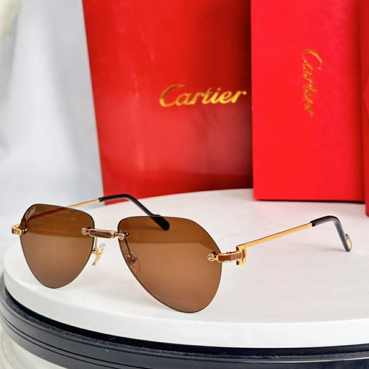 Picture of Cartier Sunglasses _SKUfw77817883fw